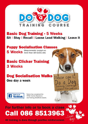 achill dog training